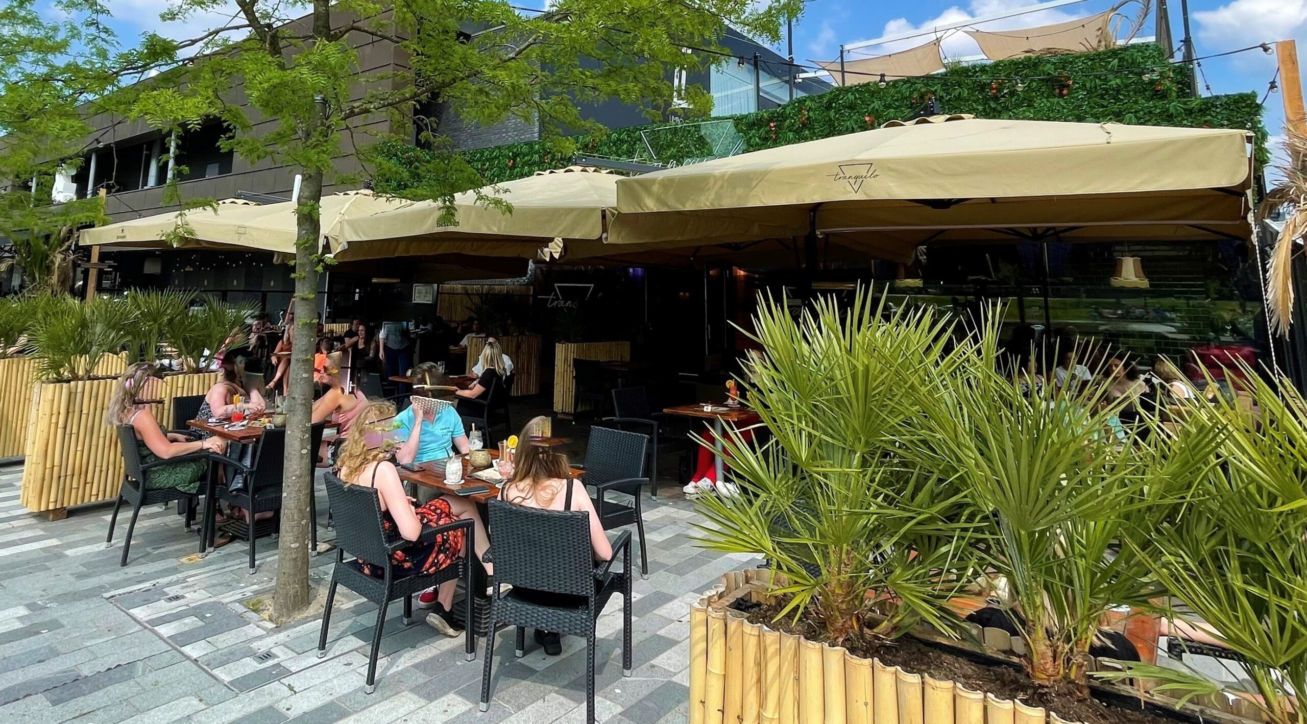 Te koop Tranquillo te Emmen