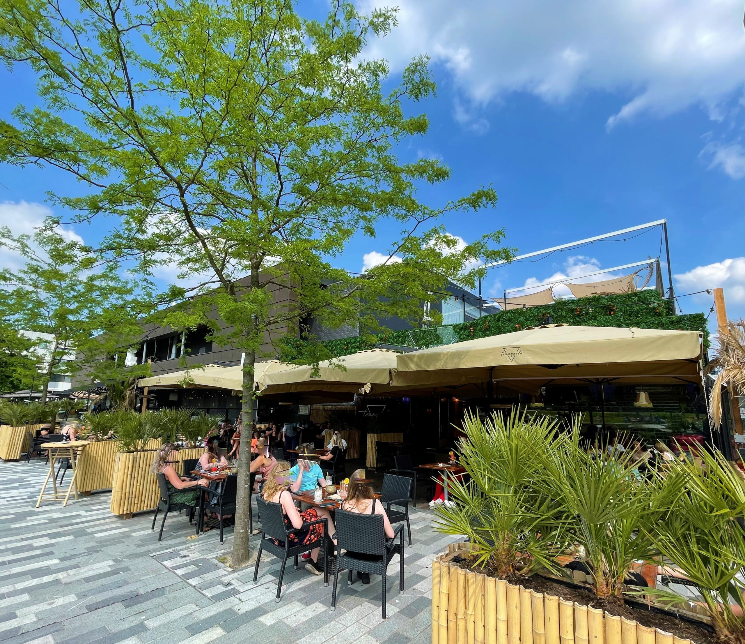 Tranquilo Emmen ter overname aangeboden