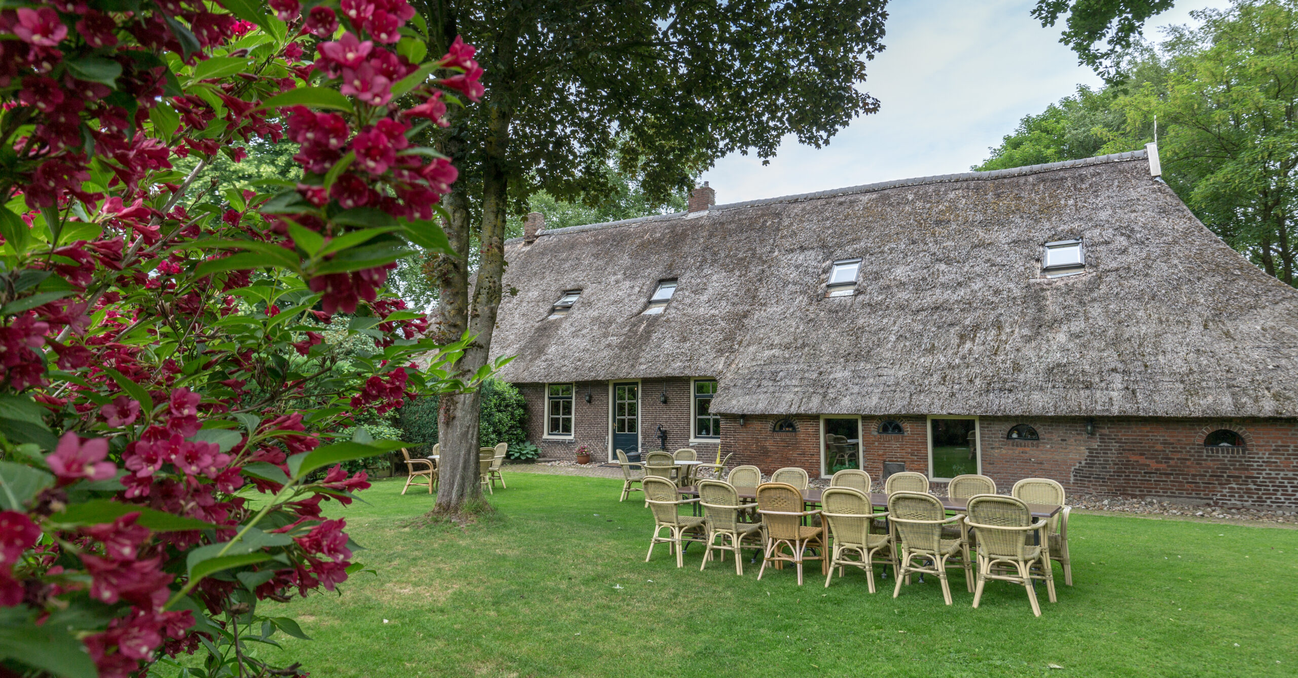 Te koop Groepsaccommodatie en B&B Drenthe